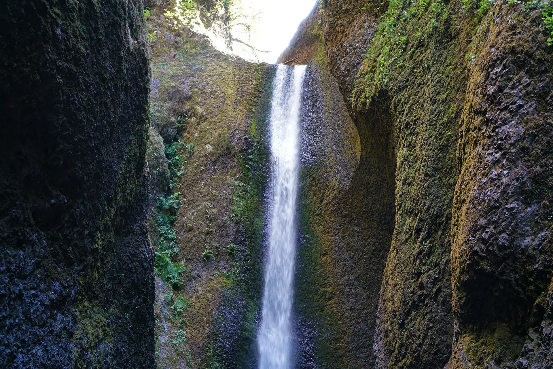 Oneonta Gorge