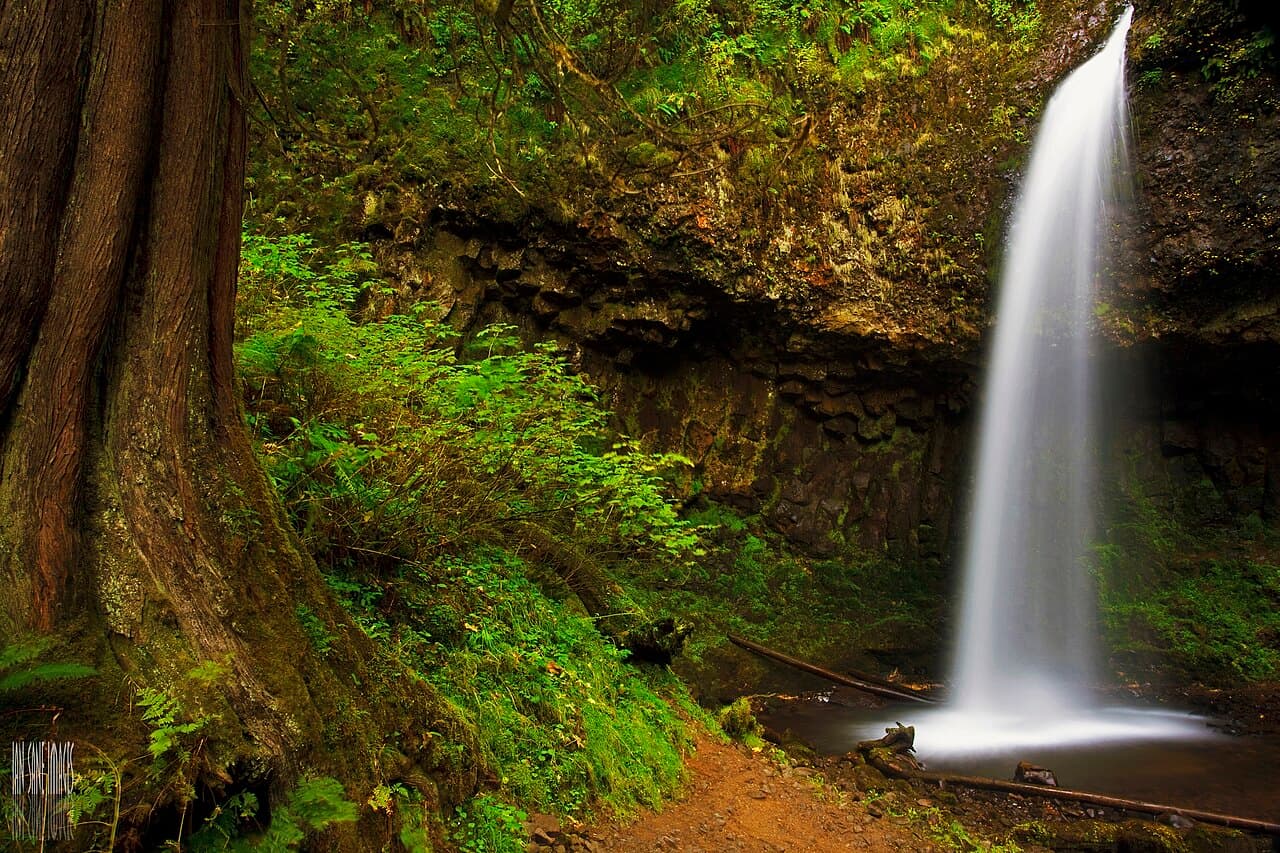 Latourell Falls