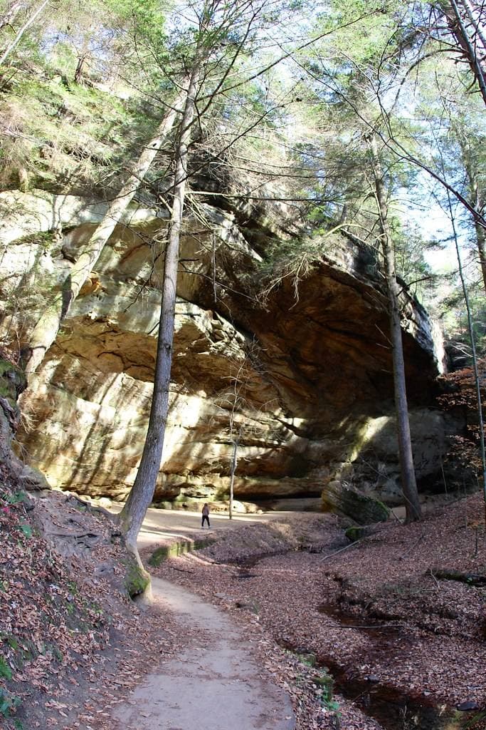 Into the Hemlock Cathedral
