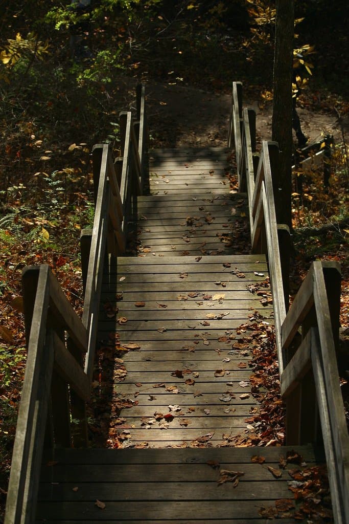 The Footbridge and Boardwalk