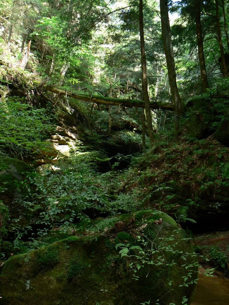 The Grotto