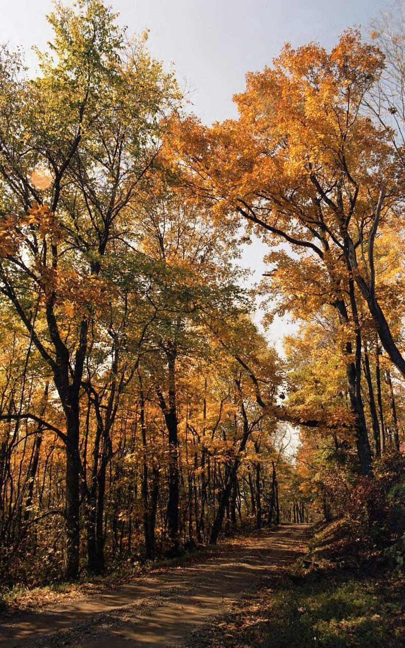The Hocking Hills Scenic Byway