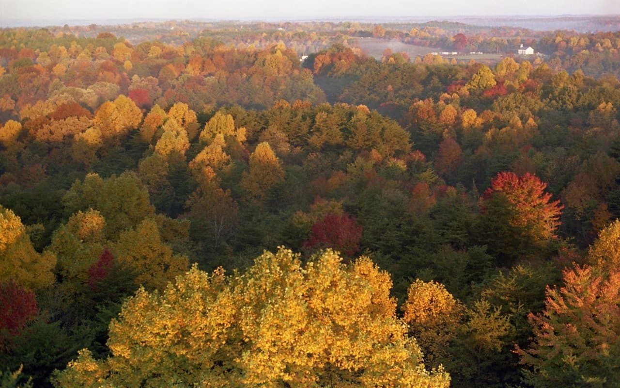 Four Seasons, One Road