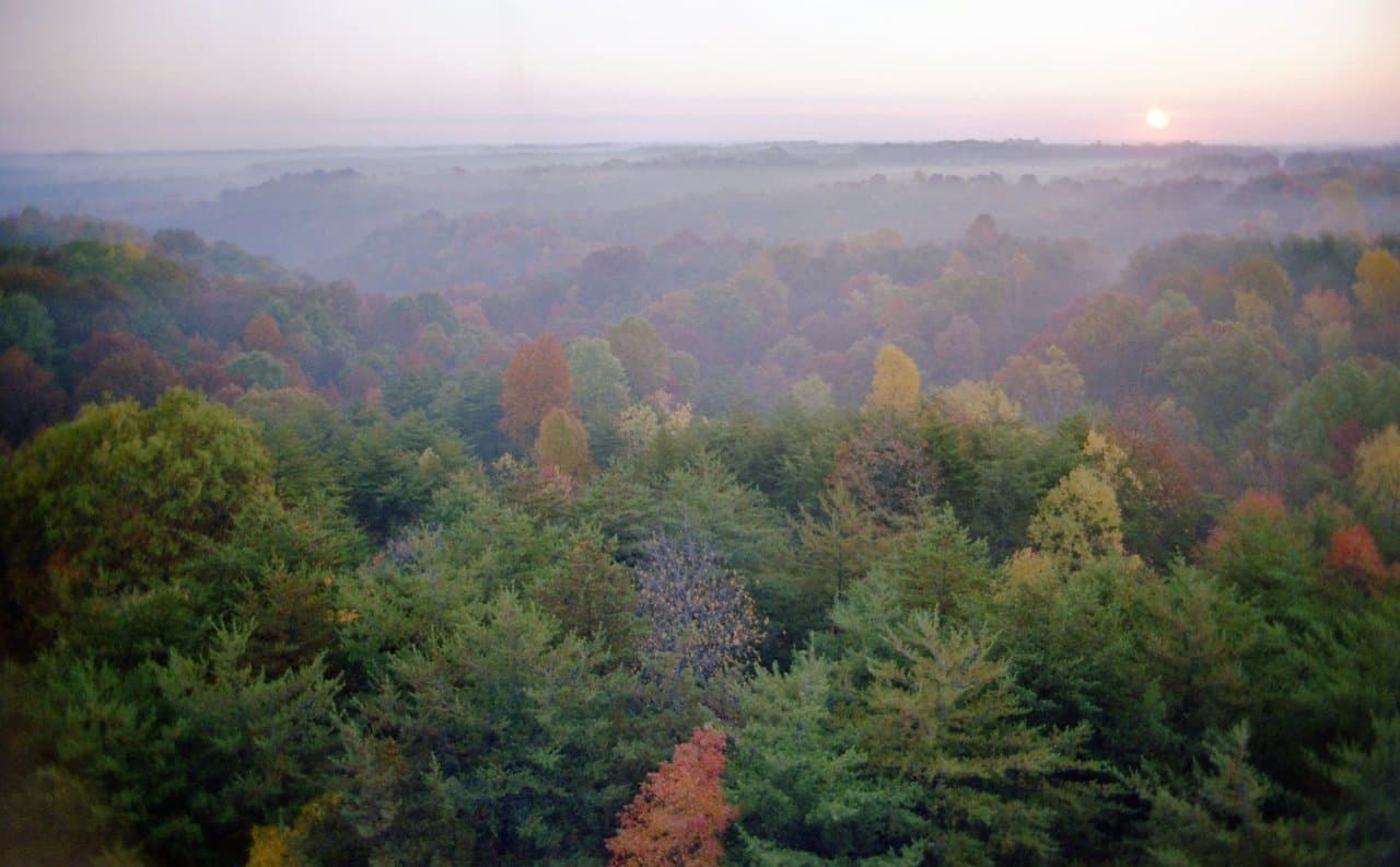 The Bottle River Hills