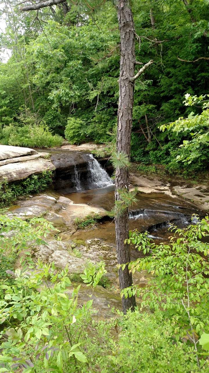 Where the Creeks Trade Water