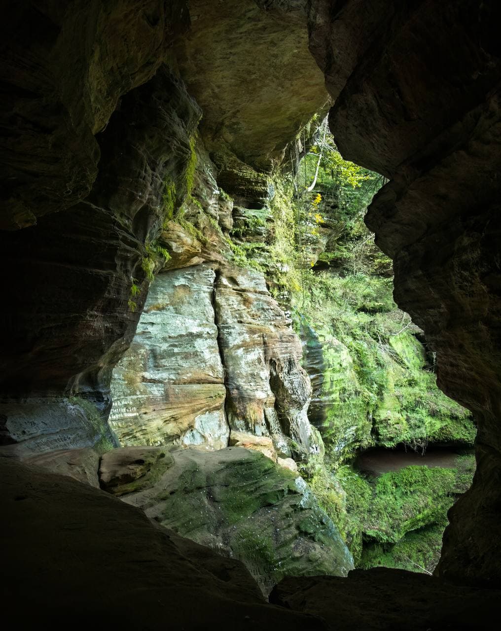 Windows in the Cliff