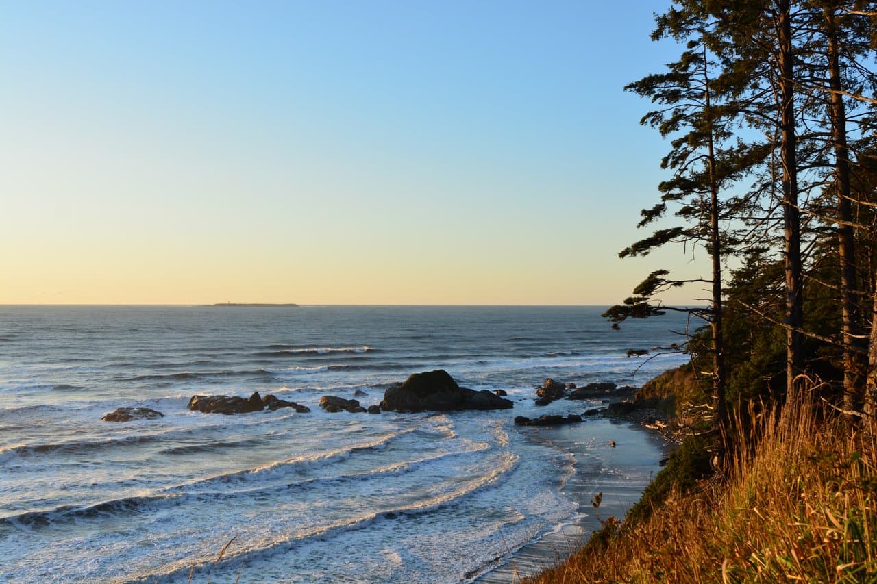 Kalaloch & Beach 4 — tide pools and the coast you can sleep on