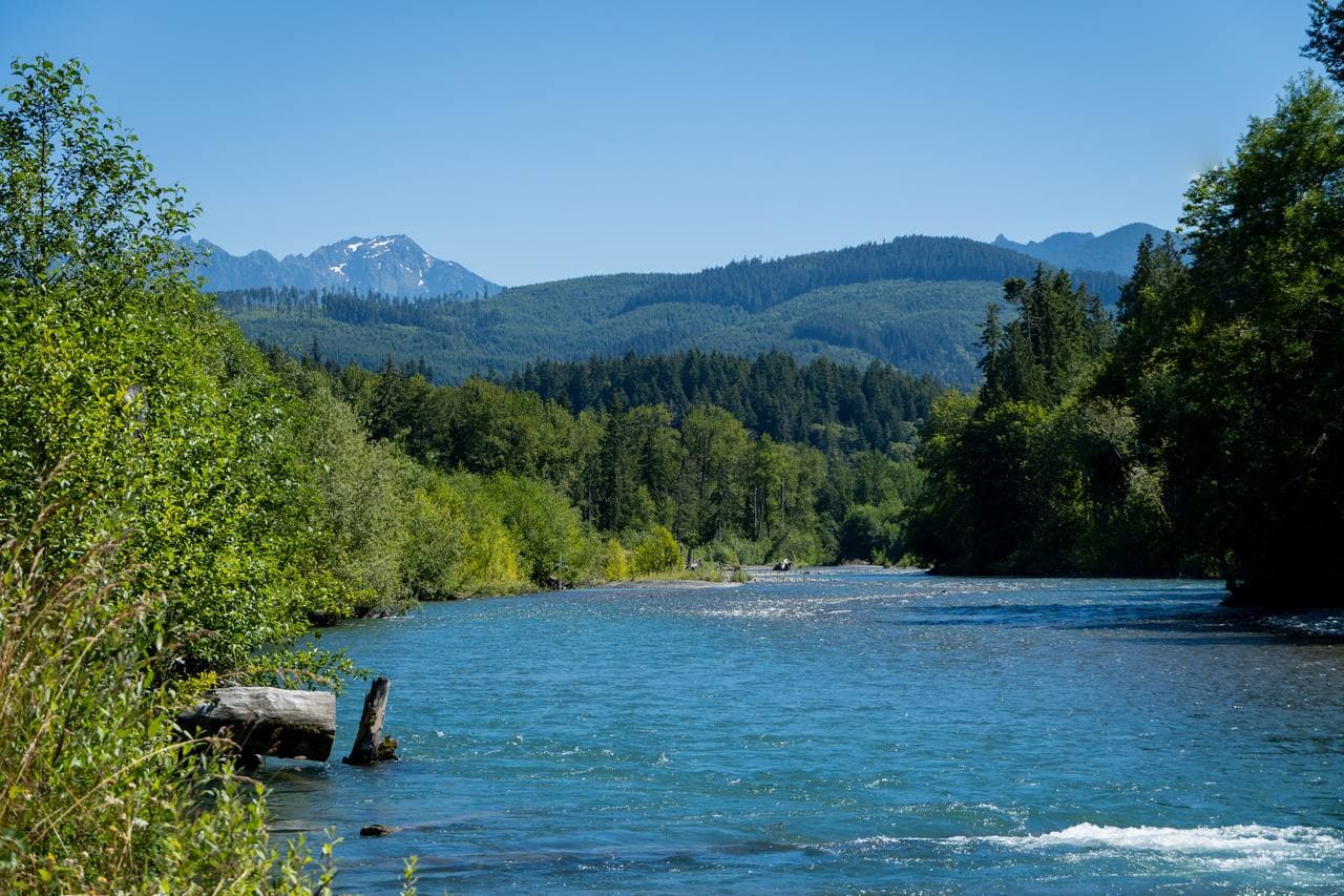The Freed Elwha