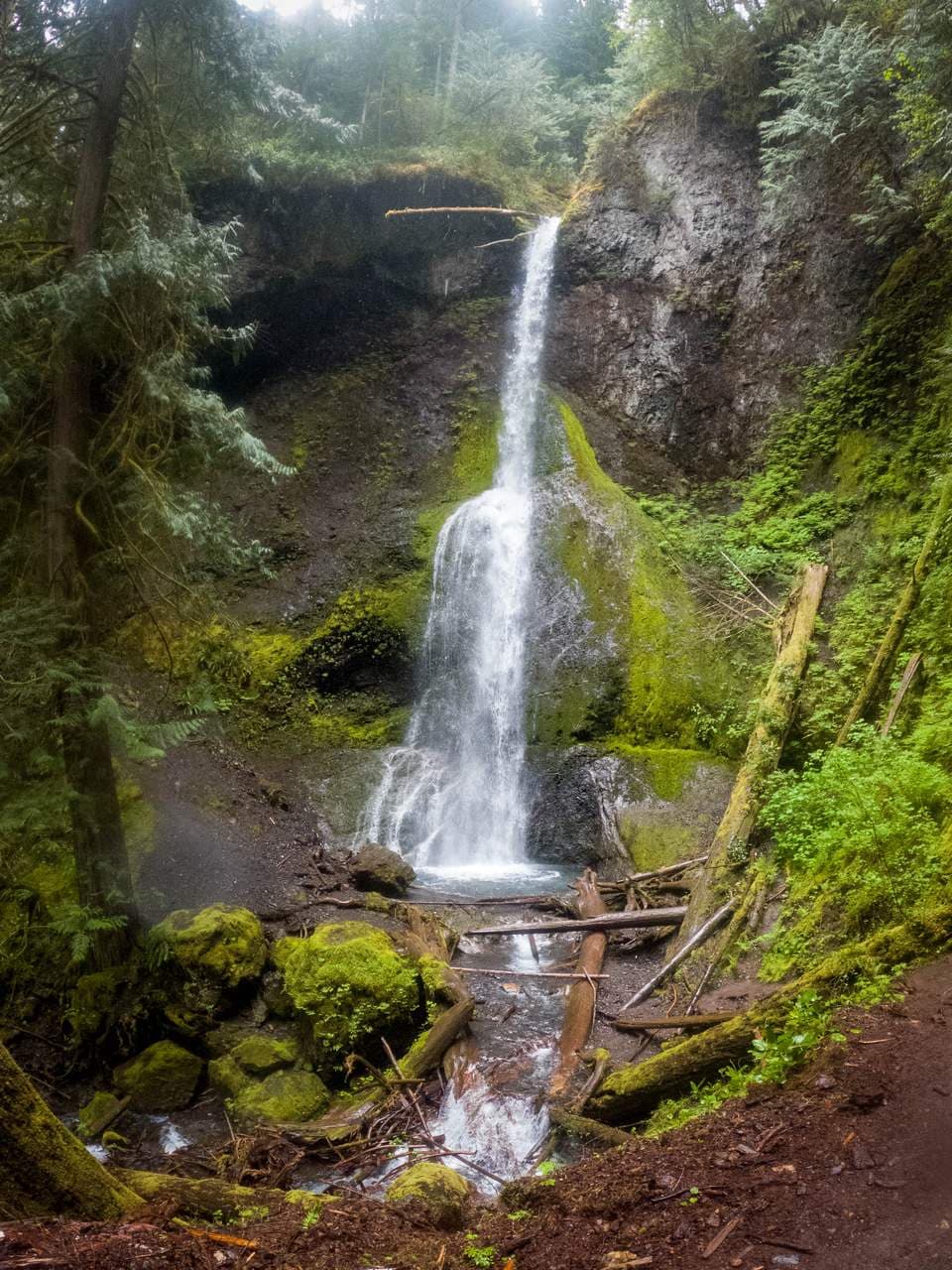 Marymere Falls Trail — the trailhead