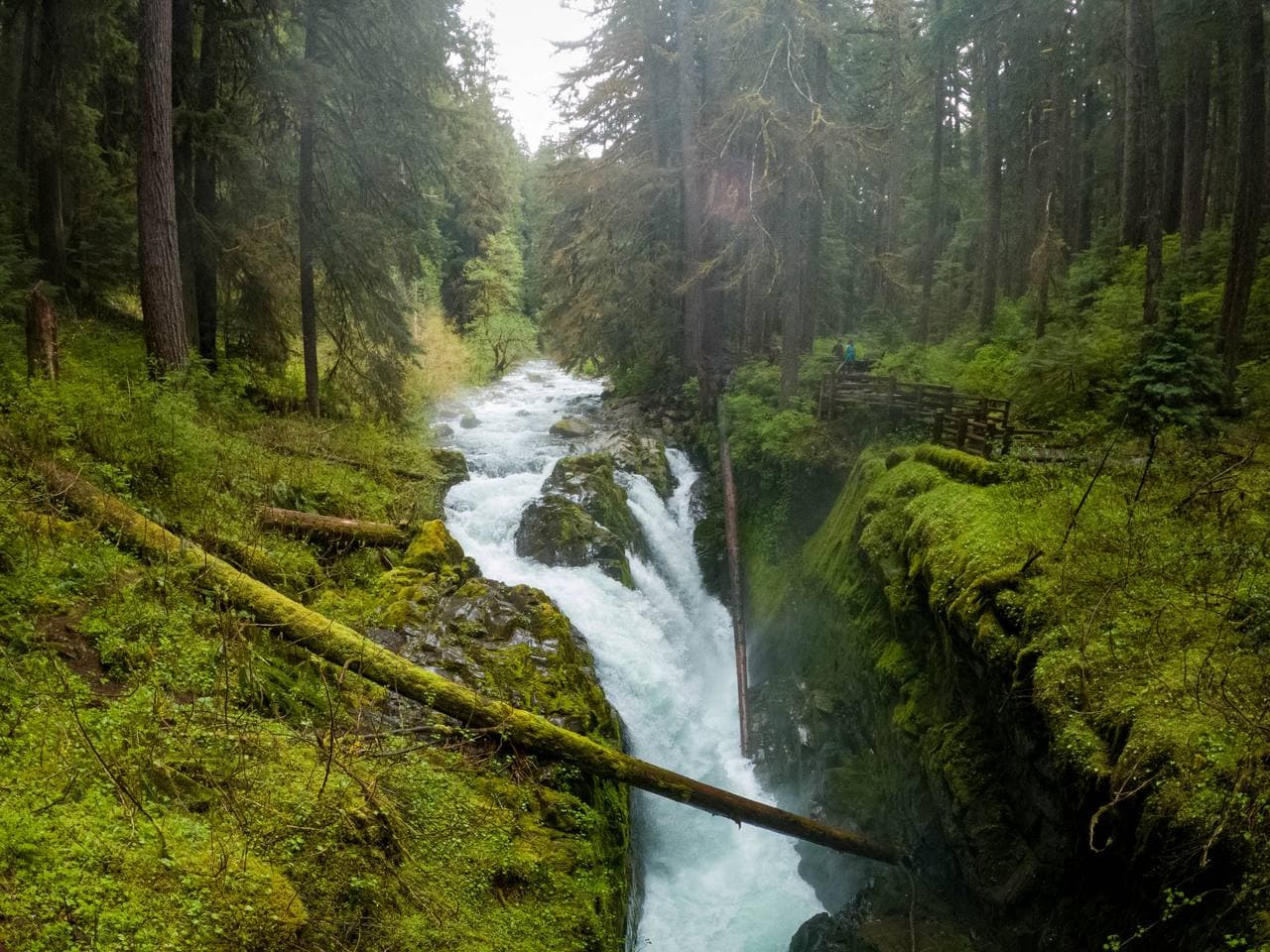 Sol Duc Falls Trail — the trailhead