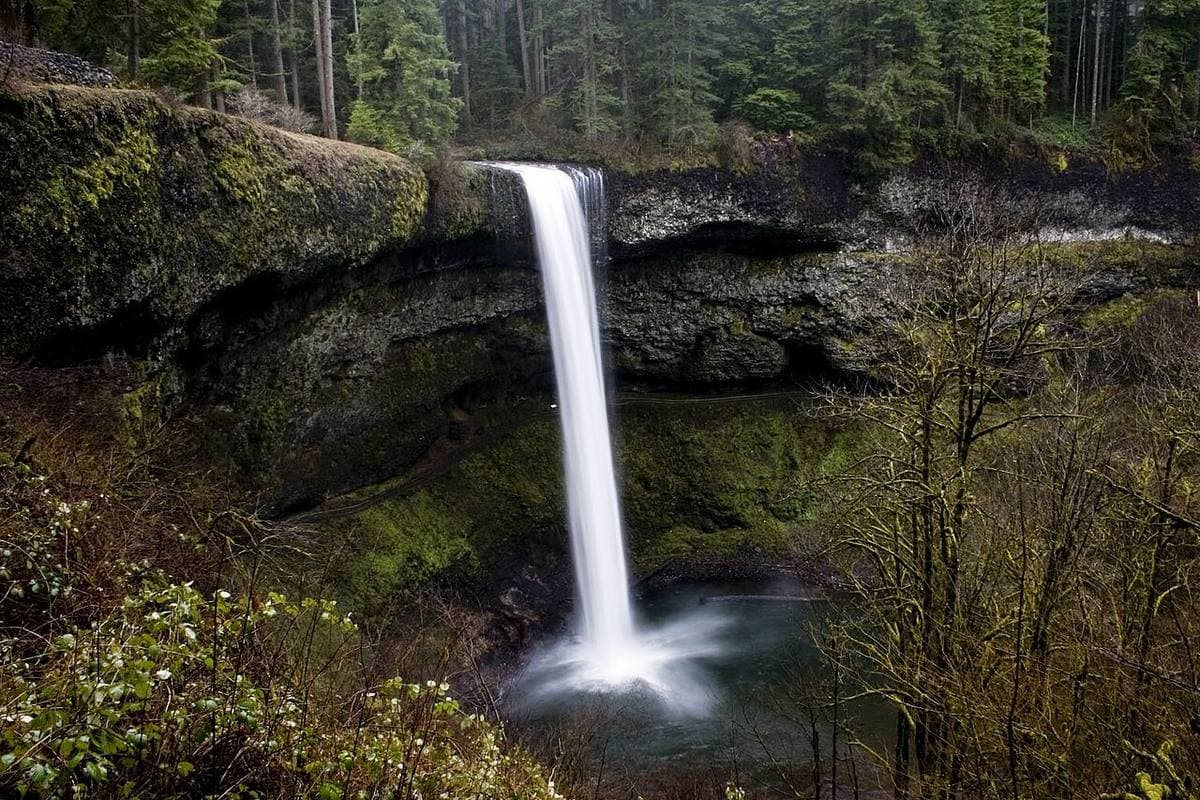 Silver Falls — Maple Ridge Loop