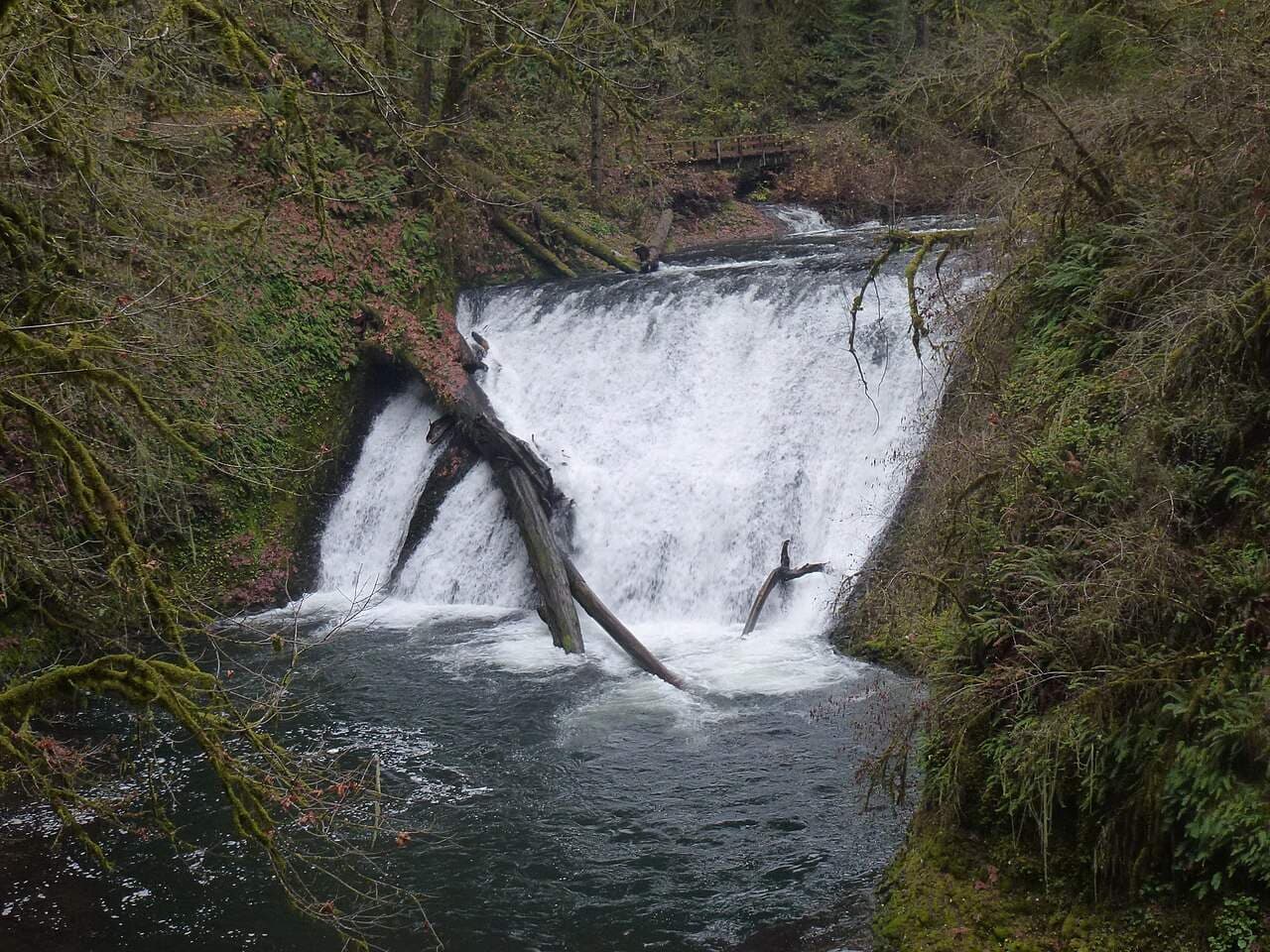 Lower North Falls