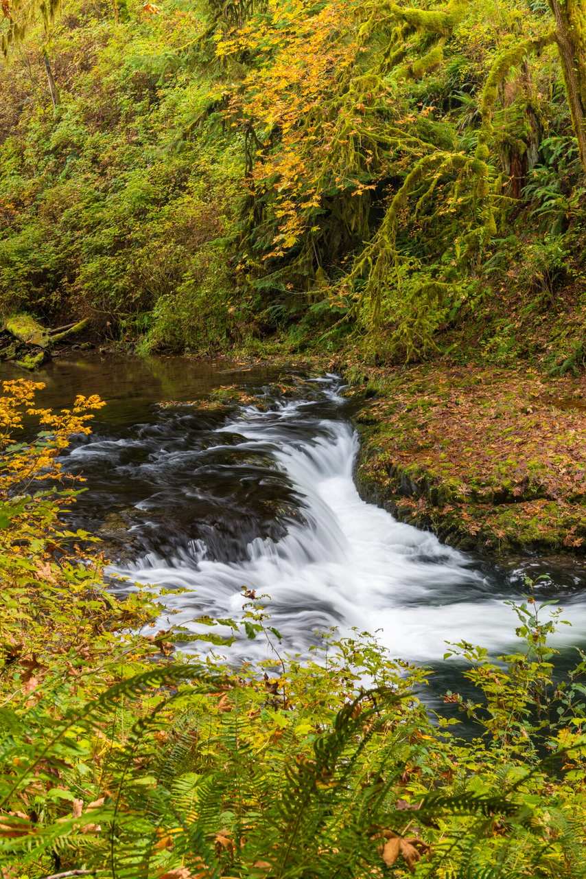 Twin Falls