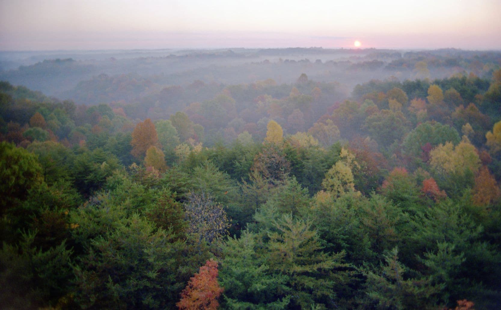 Fall foliage filling the deep sandstone gorge of Conkle’s Hollow.